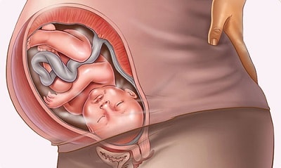 hình ảnh thai nhi sắp sinh