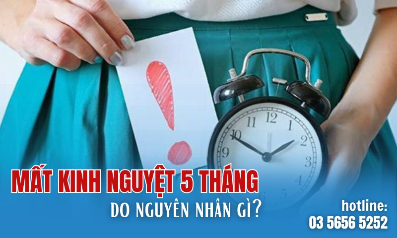 mất kinh nguyệt 5 tháng do nguyên nhân gì?