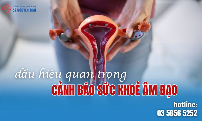 5 Dấu Hiệu Quan Trọng Cảnh Báo Về Sức Khỏe Vùng Âm Đạo