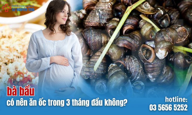 Bà bầu có nên ăn ốc trong 3 tháng đầu không?