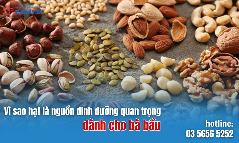 Vì sao hạt là nguồn dinh dưỡng quan trọng cho bà bầu?