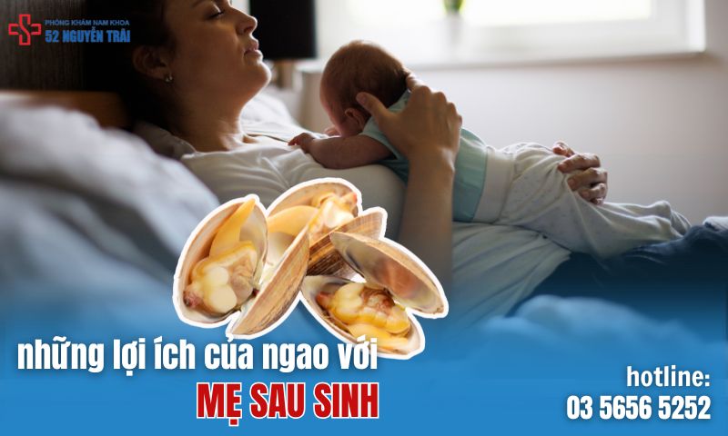 Những lợi ích của ngao đối với mẹ sau sinh