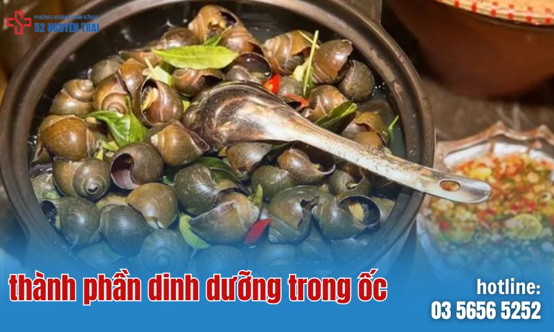 Thành phần dinh dưỡng có trong ốc