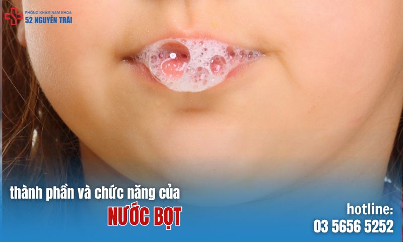 Nước bọt là gì? Thành phần và chức năng của nước bọt