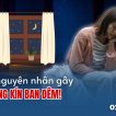 ngua-vung-kin-ban-dem