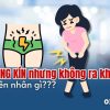 ngua-vung-kin-nhung-khong-ra-khi-hu