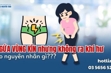 ngua-vung-kin-nhung-khong-ra-khi-hu