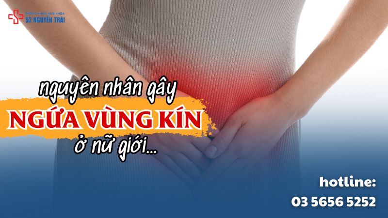 nguyên nhân gây ngứa vùng kín ở nữ giới