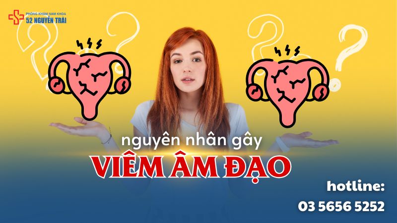 nguyên nhân gây viêm âm đạo