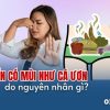 vung-kin-nu-co-mui-nhu-ca-uon